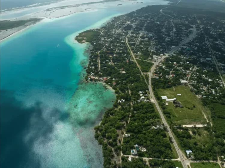 Bacalar